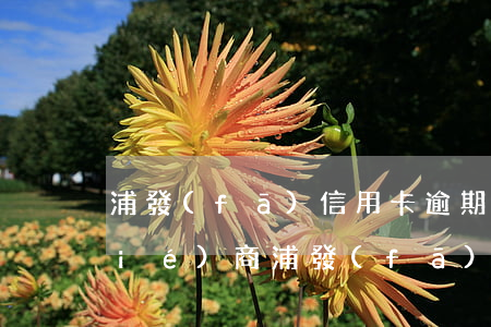 浦發(fā)信用卡逾期二年多怎么協(xié)商(浦發(fā)銀行協(xié)商分期后再次逾期怎么辦)