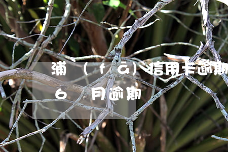 浦發(fā)信用卡逾期二萬六個月(信用卡6個月逾期)
