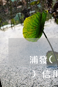 浦發(fā)信用卡逾期五六天(浦發(fā)信用卡3天算逾期嗎)