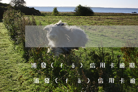 浦發(fā)信用卡逾期五年了還能申請嗎 浦發(fā)信用卡逾期五年了還能申請嗎