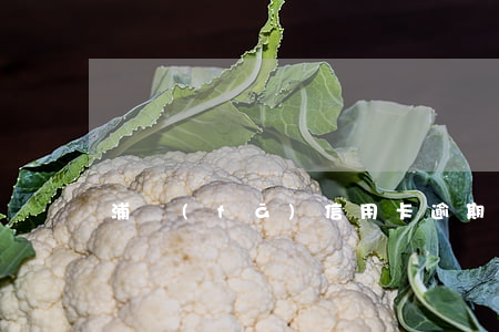 浦發(fā)信用卡逾期五年是不是呆賬了