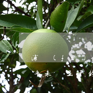 浦發(fā)信用卡逾期五萬(wàn)三年未還(五千的信用卡逾期一年)