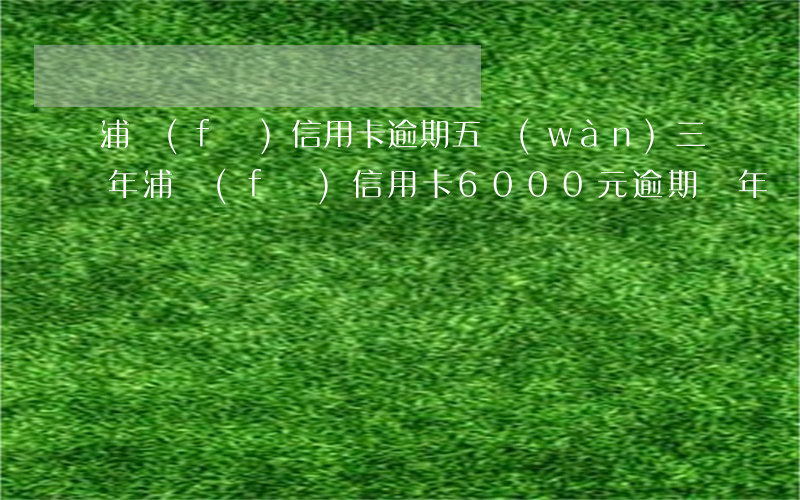 浦發(fā)信用卡逾期五萬(wàn)三年(浦發(fā)信用卡6000元逾期兩年)