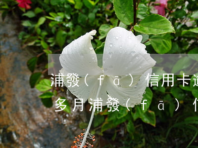 浦發(fā)信用卡逾期五萬四個(gè)多月(浦發(fā)信用卡逾期五萬四個(gè)多月了)