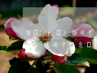 浦發(fā)信用卡逾期修改地址(浦發(fā)信用卡緊急聯(lián)系人修改)