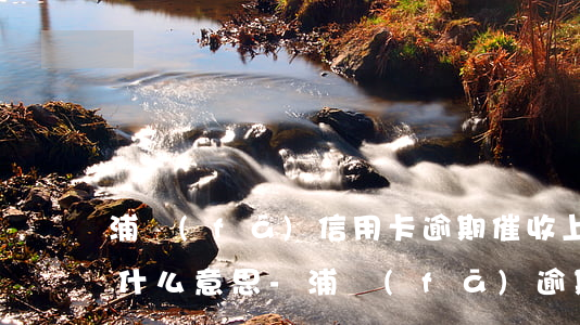 浦發(fā)信用卡逾期催收上門我要注意什么意思-浦發(fā)逾期了催收的說(shuō)案子已經(jīng)交了說(shuō)上門