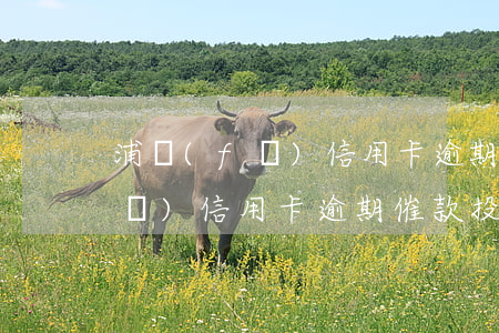 浦發(fā)信用卡逾期催款投訴(浦發(fā)信用卡逾期催款投訴電話)