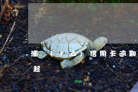 浦發(fā)信用卡逾期兩個(gè)月就起訴嗎