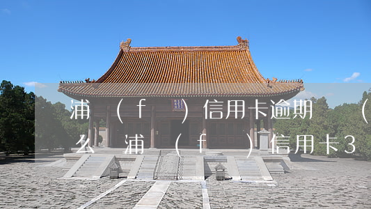 浦發(fā)信用卡逾期兩個(gè)月怎么辦(浦發(fā)信用卡3萬逾期4個(gè)月)