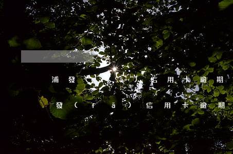 浦發(fā)信用卡逾期兩個(gè)月(浦發(fā)信用卡逾期兩個(gè)月顯示超限5百多怎么回事)