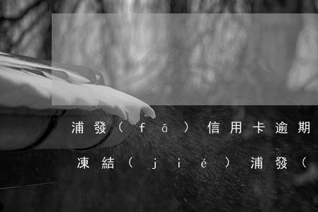 浦發(fā)信用卡逾期兩個(gè)月被凍結(jié)(浦發(fā)銀行逾期10天就被凍結(jié)什么意思?)