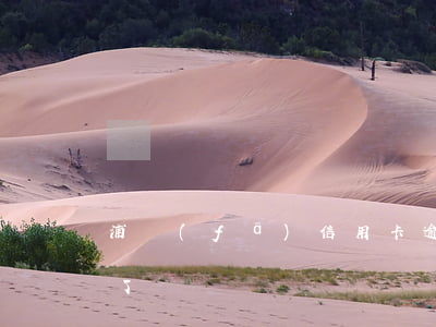 浦發(fā)信用卡逾期兩個(gè)賬單了