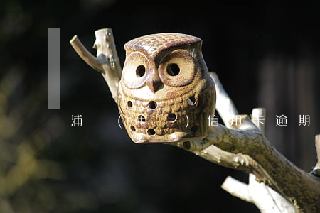 浦發(fā)信用卡逾期兩個月卡被凍結