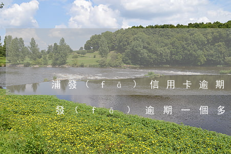 浦發(fā)信用卡逾期兩個月會怎么樣(浦發(fā)逾期一個多月還了 什么時候可以用)