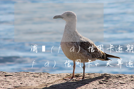 浦發(fā)信用卡逾期兩天會怎樣(浦發(fā)信用卡4天算逾期嗎)