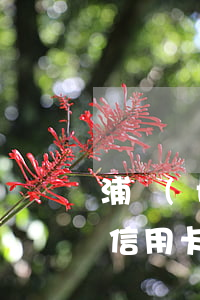 浦發(fā)信用卡 逾期兩天(浦發(fā)信用卡逾期兩天會(huì)降額)