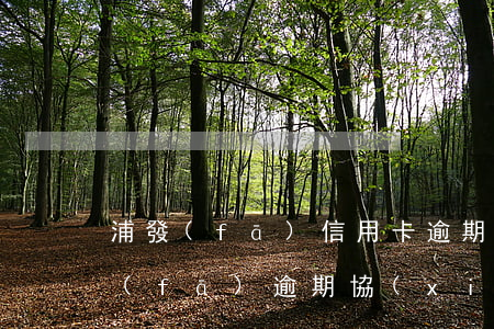 浦發(fā)信用卡逾期兩年還可以嗎(浦發(fā)逾期協(xié)商還款只給一年時(shí)間卡還不能用)