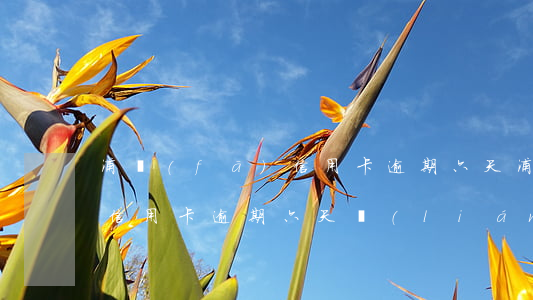 浦發(fā)信用卡逾期六天(浦發(fā)信用卡逾期六天,聯(lián)系不到本人會(huì)怎樣)