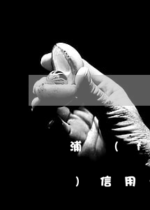 浦發(fā)信用卡逾期六萬多 浦發(fā)信用卡逾期六萬多了