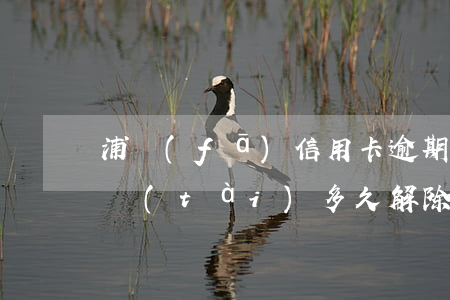 浦發(fā)信用卡逾期凍結(jié)狀態(tài)多久解除-浦發(fā)信用卡逾期凍結(jié)狀態(tài)多久解除凍結(jié)