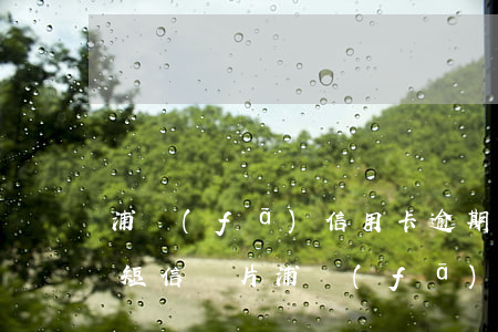 浦發(fā)信用卡逾期凍結(jié)的短信圖片(浦發(fā)信用卡 凍結(jié))