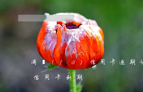 浦發(fā)信用卡逾期分行(浦發(fā)信用卡 到期)