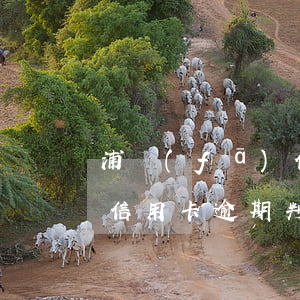 浦發(fā)信用卡逾期判決(浦發(fā)信用卡逾期判決了,現(xiàn)在協(xié)商呢)