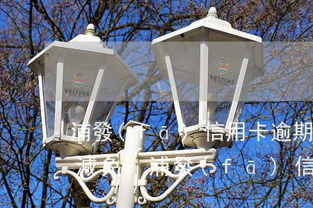 浦發(fā)信用卡逾期利息和遲納金可以減免-浦發(fā)信用卡逾期利息和遲納金可以減免嗎