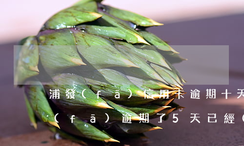 浦發(fā)信用卡逾期十天全額還清(浦發(fā)逾期了5天,已經(jīng)還清最低還款額,要求全部還掉)