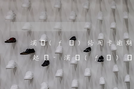 浦發(fā)信用卡逾期十天,卡凍結,銀行要起訴-浦發(fā)銀行逾期10天就被凍結什么意思?
