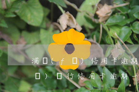 浦發(fā)信用卡逾期十天后果(浦發(fā)銀行信用卡逾期一天會有不良記錄嗎)
