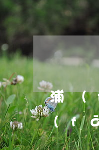 浦發(fā)信用卡逾期十天要求全額(浦發(fā)信用卡逾期十天要求全額還款)