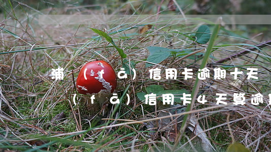 浦發(fā)信用卡逾期十天讓我還總額 浦發(fā)信用卡4天算逾期嗎