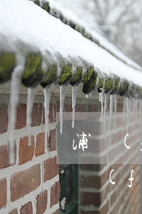 浦發(fā)信用卡逾期半個(gè)月(浦發(fā)信用卡逾期半個(gè)月必須全額還款嗎)