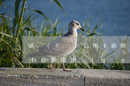 浦發(fā)信用卡逾期半小時(shí)(有逾期能申請(qǐng)浦發(fā)信用卡)