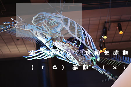 浦發(fā)信用卡逾期半年中間還款(浦發(fā)逾期協(xié)商還款只給一年時間卡還不能用)