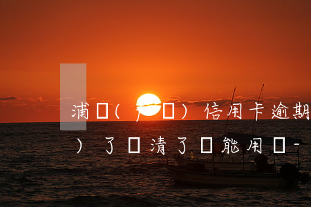 浦發(fā)信用卡逾期半年凍結(jié)了還清了還能用嗎-浦發(fā)信用卡逾期半年凍結(jié)了還清了還能用嗎