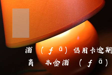 浦發(fā)信用卡逾期半年協(xié)商還本金(浦發(fā)銀行信用卡 逾期)