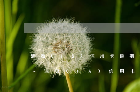 浦發(fā)信用卡逾期半年怎么協商分期-浦發(fā)信用卡逾期半年怎么協商分期還款