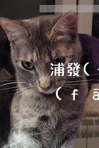 浦發(fā)信用卡逾期半年起訴短信(浦發(fā)信用卡逾期半年起訴短信)