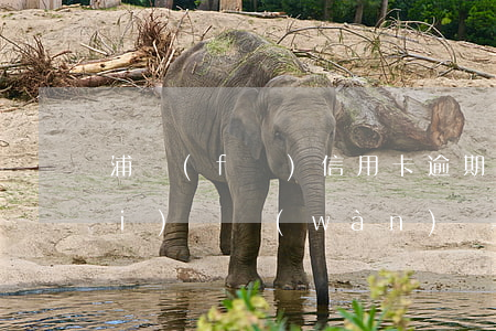 浦發(fā)信用卡逾期半年逾期費(fèi)兩萬(wàn)