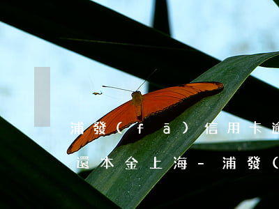 浦發(fā)信用卡逾期協(xié)商只還本金上海-浦發(fā)卡逾期后協(xié)商之前還的錢是算本金的嗎