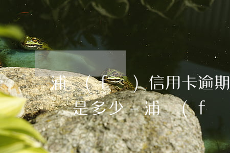 浦發(fā)信用卡逾期協(xié)商號碼是多少-浦發(fā)信用卡逾期協(xié)商號碼是多少號