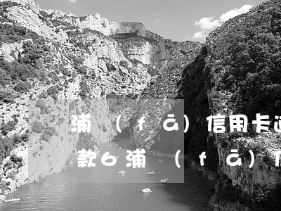 浦發(fā)信用卡逾期協(xié)商還款6(浦發(fā)信用卡逾期協(xié)商還款需要的材料)