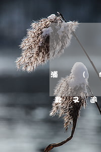 浦發(fā)信用卡逾期協(xié)商還款又逾期(浦發(fā)銀行協(xié)商分期后再次逾期怎么辦)