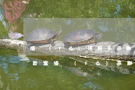 浦發(fā)信用卡逾期協(xié)商還款案(浦發(fā)逾期三個月就不能協(xié)商還款了嗎?)
