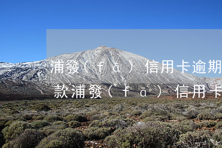 浦發(fā)信用卡逾期協(xié)商還款(浦發(fā)信用卡逾期協(xié)商還款的流程)