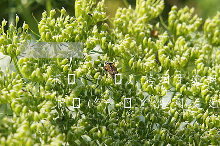 浦發(fā)信用卡逾期協(xié)商還(浦發(fā)信用卡逾期協(xié)商還款1只同意12期)