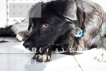 浦發(fā)信用卡逾期原因分析怎么寫（浦發(fā)信用卡逾期原因分析）