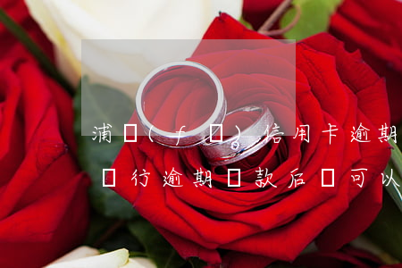 浦發(fā)信用卡逾期原因(浦發(fā)銀行逾期還款后還可以繼續(xù)使用嗎)